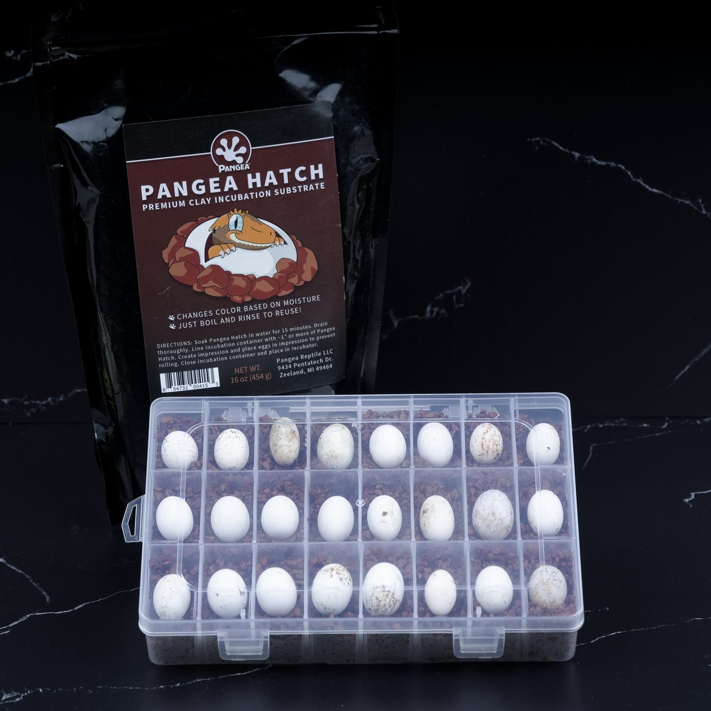 Crested Gecko Egg Incubation Kit