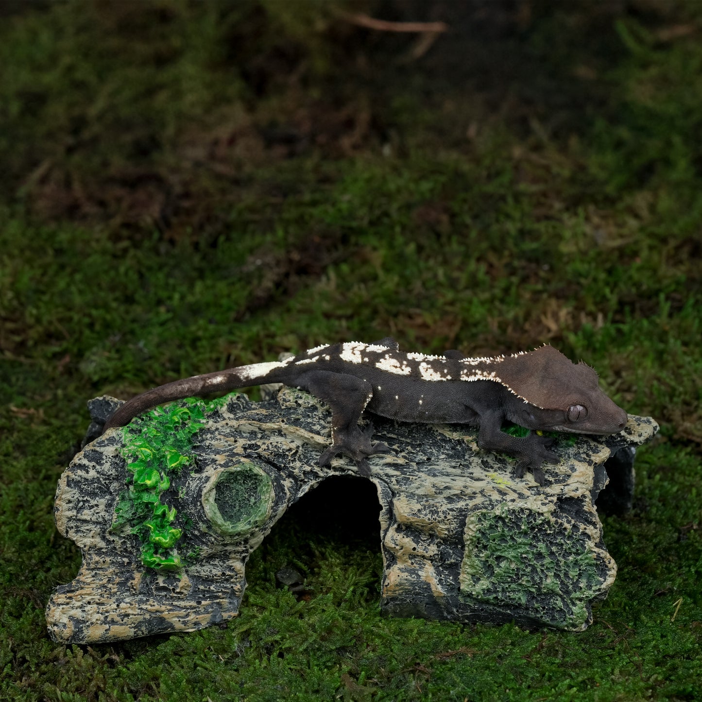 Naturalistic Log Hide