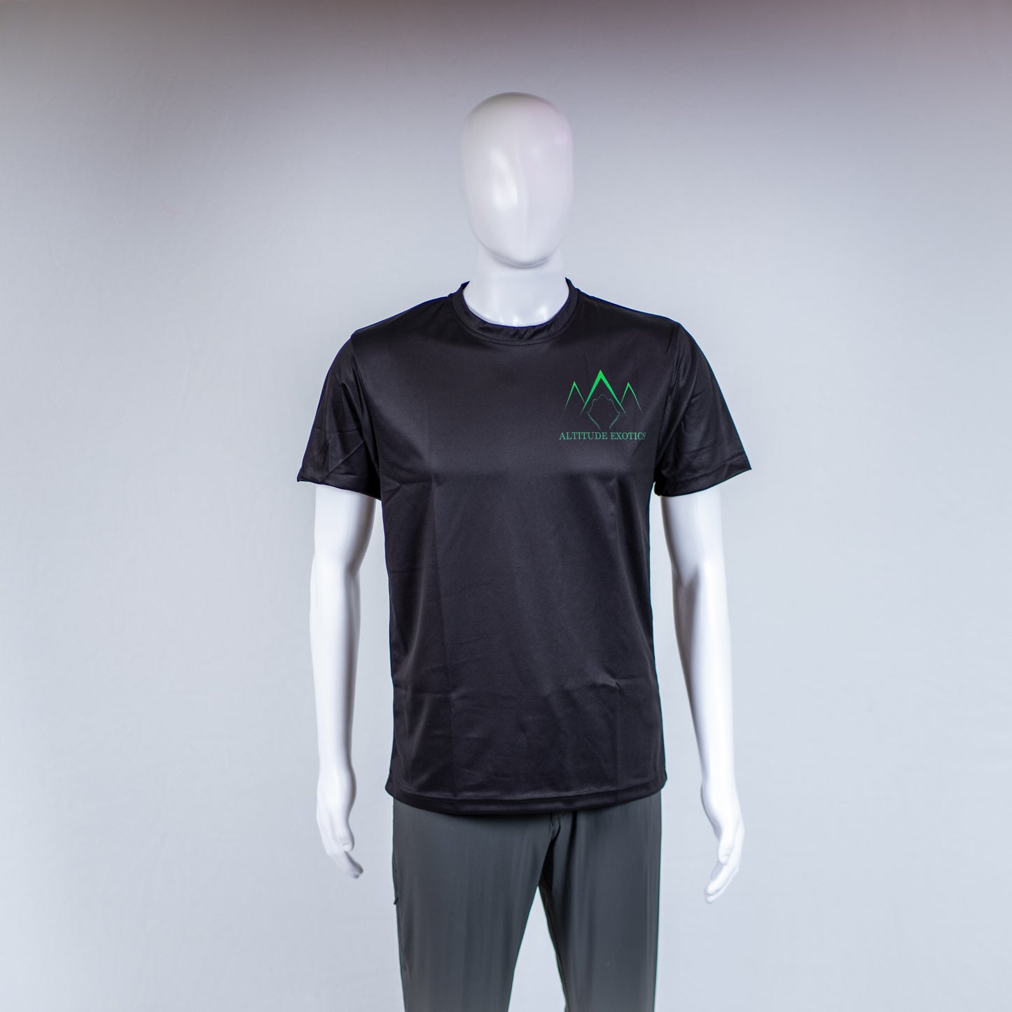 AE Logo Mens Athletic T-Shirt