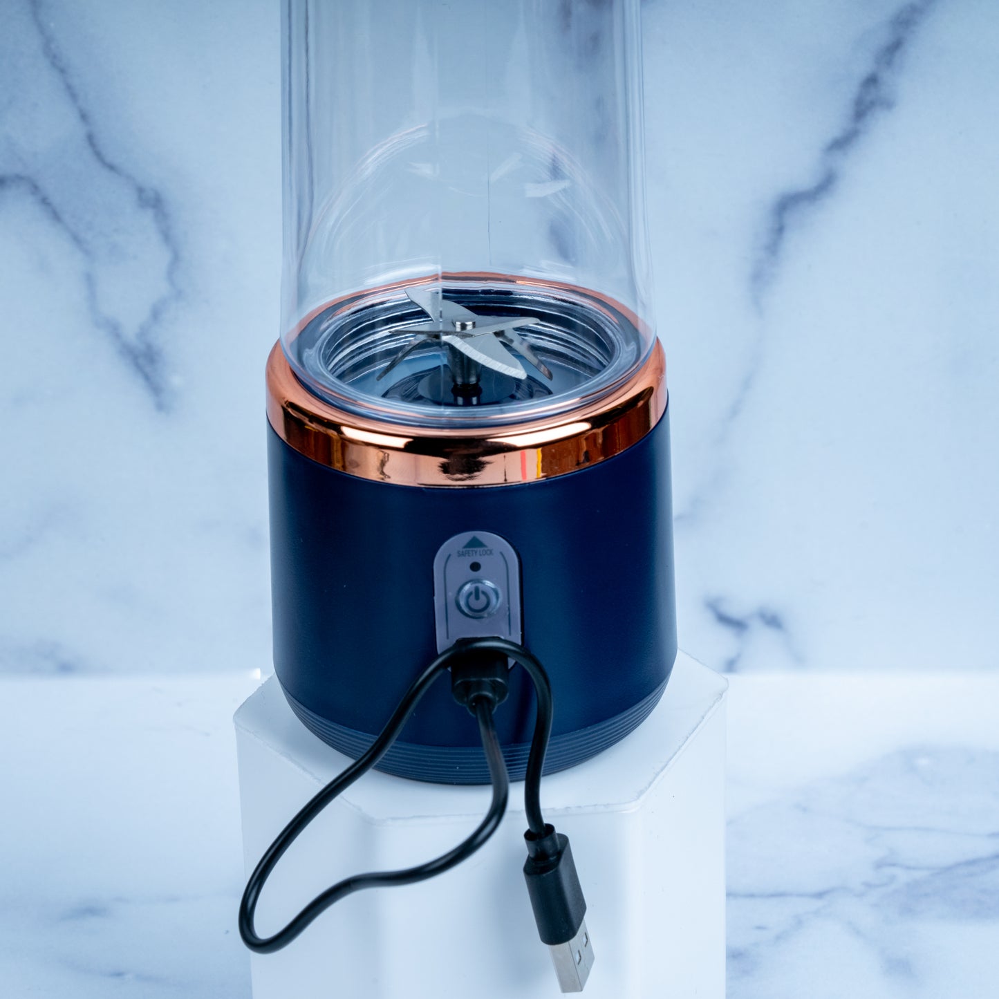 Portable Gecko Diet Blender