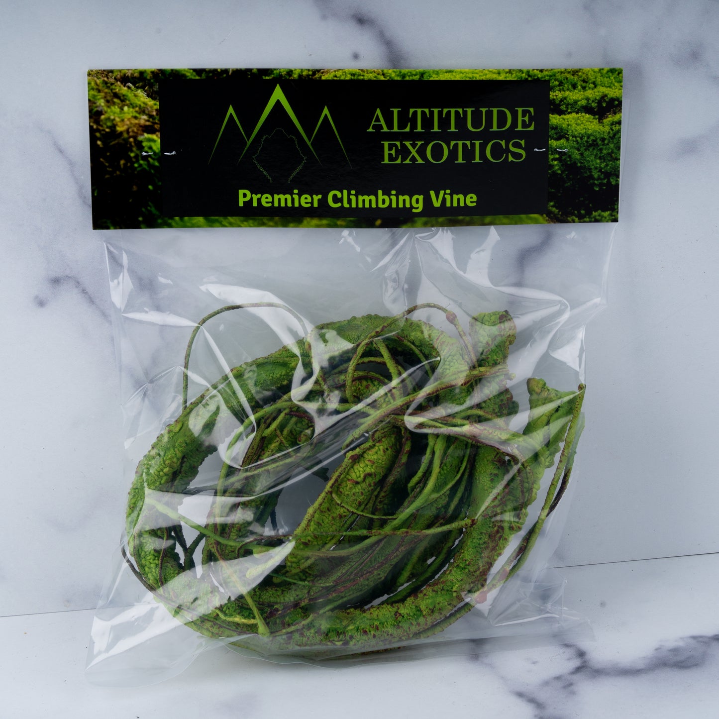 Altitude Exotics Premier Climbing Vine- Light Green