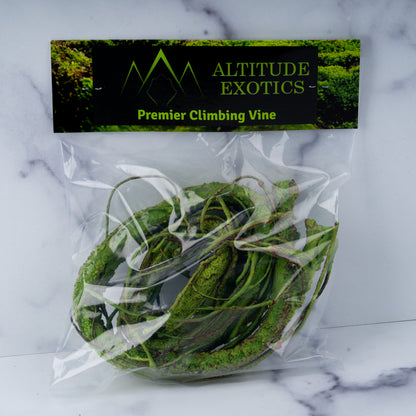 Altitude Exotics Premier Climbing Vine- Light Green
