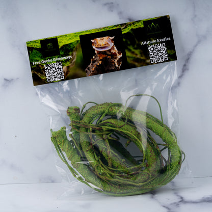 Altitude Exotics Premier Climbing Vine- Light Green