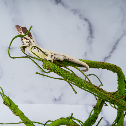 Altitude Exotics Premier Climbing Vine- Light Green