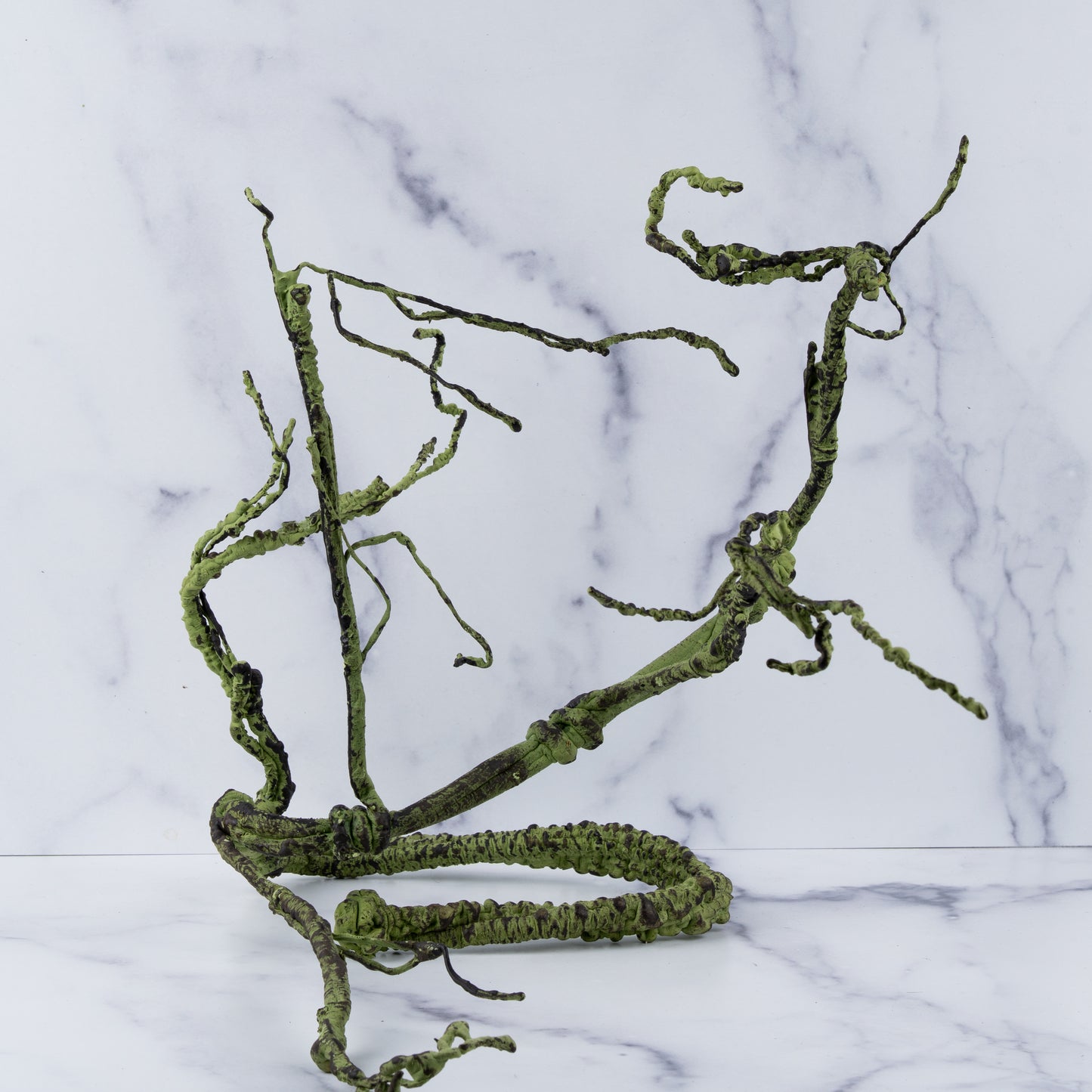Altitude Exotics Premier Climbing Vine- Dark Green