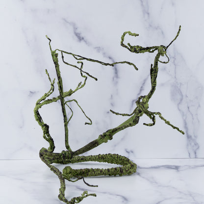 Altitude Exotics Premier Climbing Vine- Dark Green