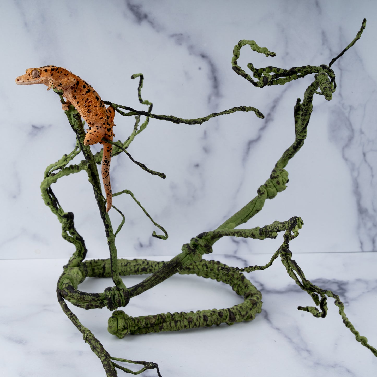 Altitude Exotics Premier Climbing Vine- Dark Green