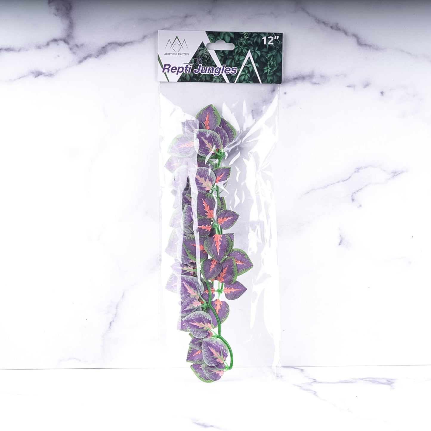 Repti Jungles Hanging Plant by Altitude Exotics- Purple