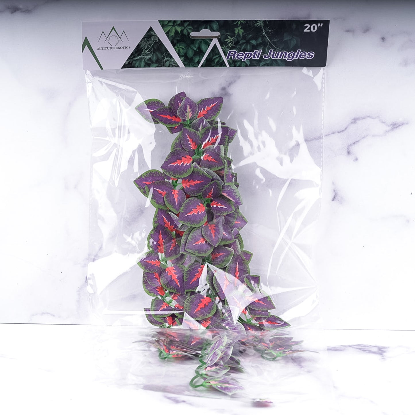 Repti Jungles Hanging Plant by Altitude Exotics- Purple