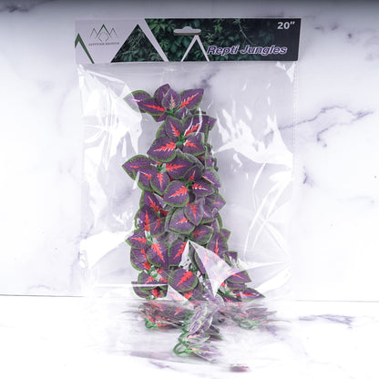 Repti Jungles Hanging Plant by Altitude Exotics- Purple