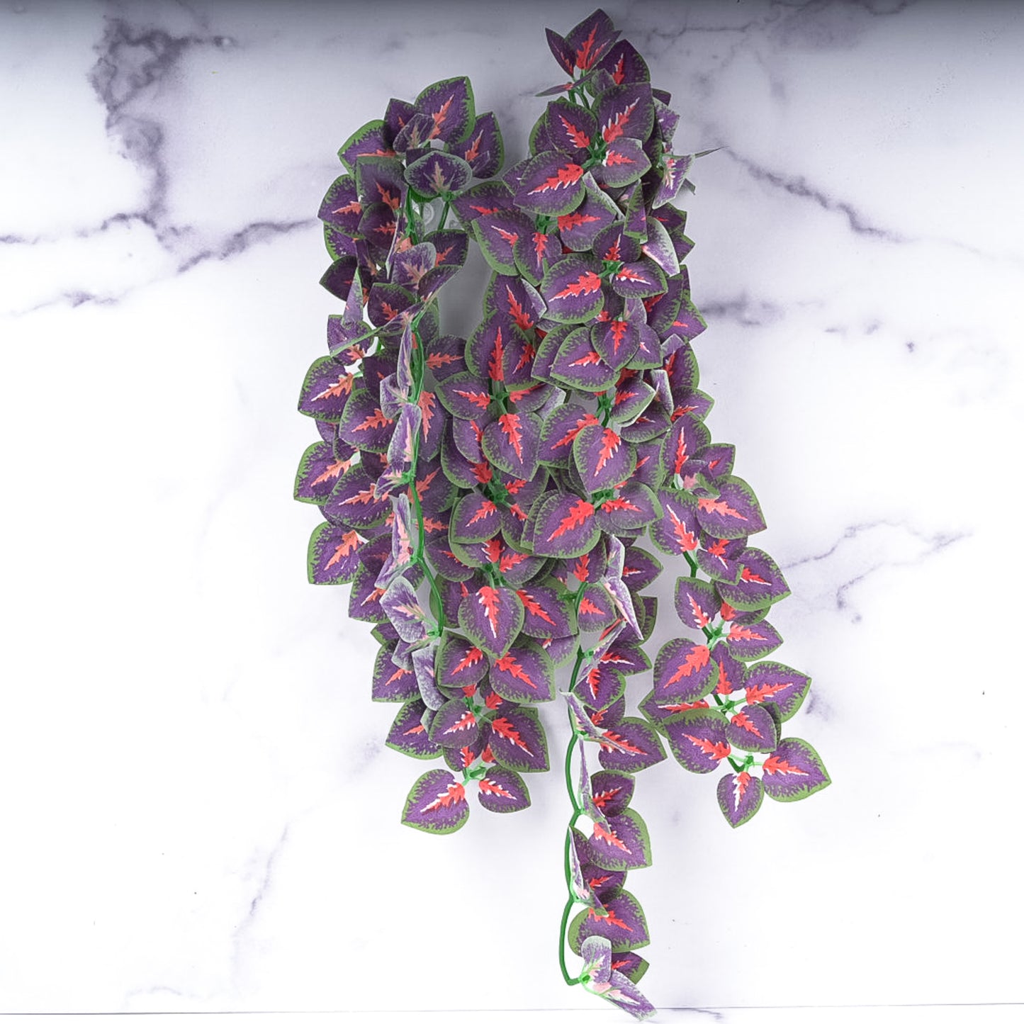 Repti Jungles Hanging Plant by Altitude Exotics- Purple