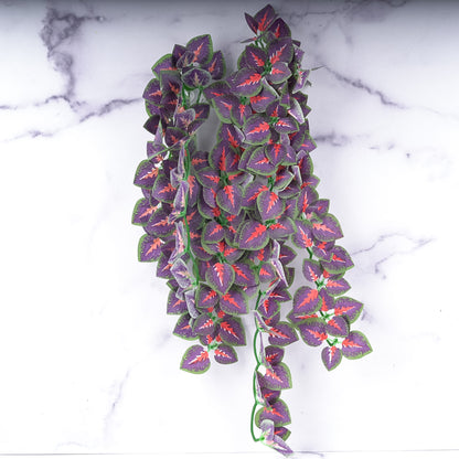 Repti Jungles Hanging Plant by Altitude Exotics- Purple