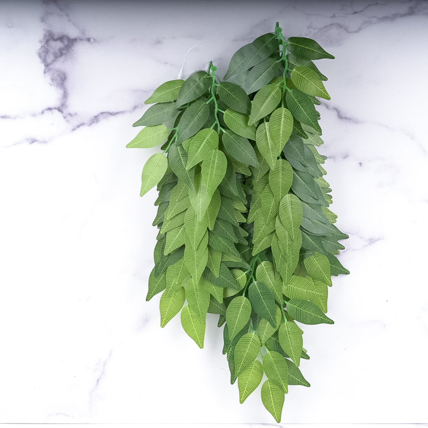 Repti Jungles Hanging Plant by Altitude Exotics- Green