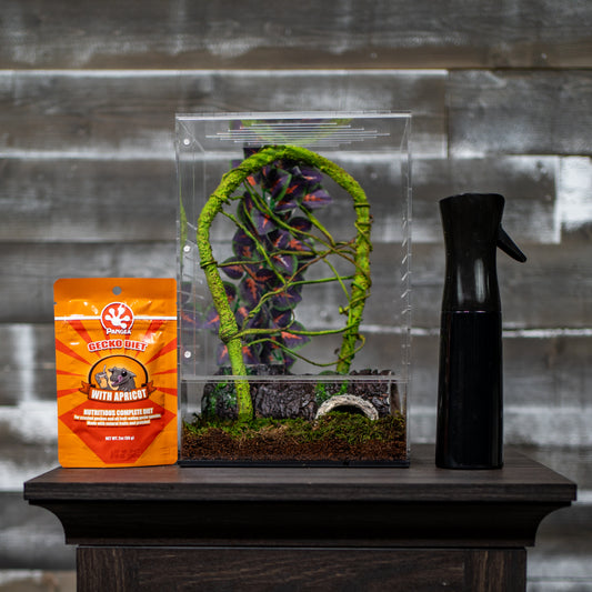 Crested Gecko Hatchling Complete Starter Kit