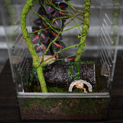 Crested Gecko Hatchling Complete Starter Kit