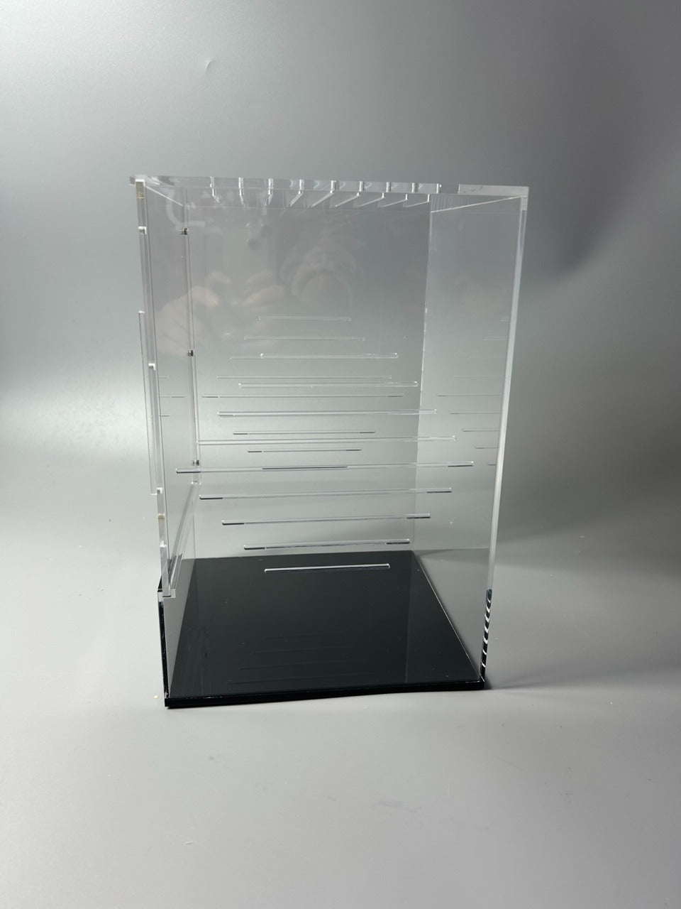 Starter Crested Gecko Complete Setup Kit 8x8x12