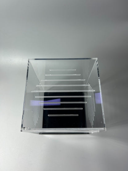 Starter Crested Gecko Complete Setup Kit 8x8x12