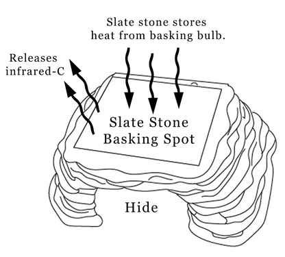 Zen Cave with 9"x7" Slate Stone – Ultimate Basking and Hiding Spot for Reptiles